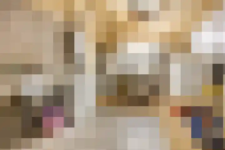 Prinses Julianaweg 13 Geldermalsen thumbnail 42