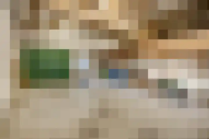 Prinses Julianaweg 13 Geldermalsen thumbnail 44