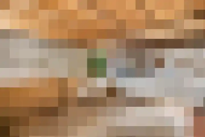 Prinses Julianaweg 13 Geldermalsen thumbnail 46