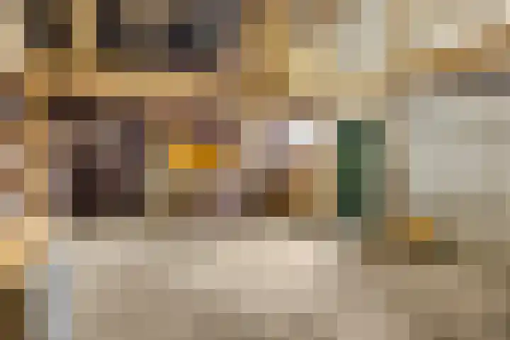 Prinses Julianaweg 13 Geldermalsen thumbnail 47