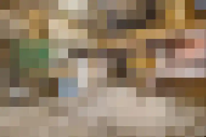 Prinses Julianaweg 13 Geldermalsen thumbnail 48