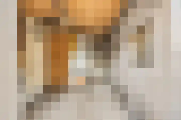 Prinses Julianaweg 13 Geldermalsen thumbnail 49