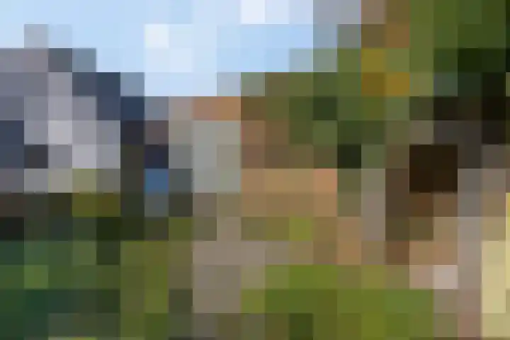 Prinses Julianaweg 13 Geldermalsen thumbnail 50