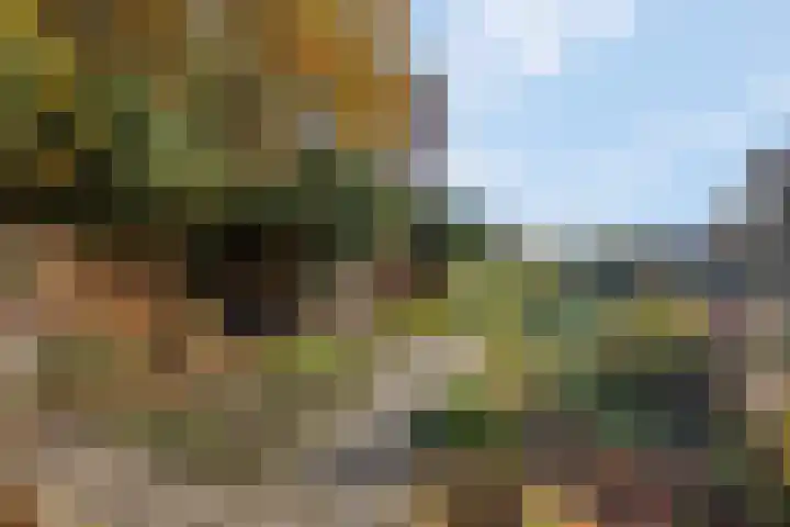 Prinses Julianaweg 13 Geldermalsen thumbnail 51