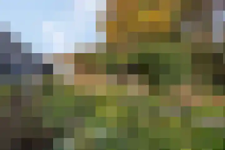 Prinses Julianaweg 13 Geldermalsen thumbnail 52
