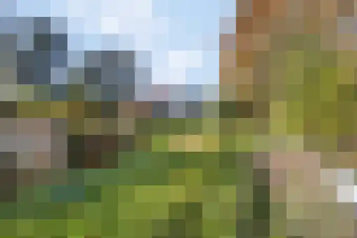 Prinses Julianaweg 13 Geldermalsen thumbnail 53