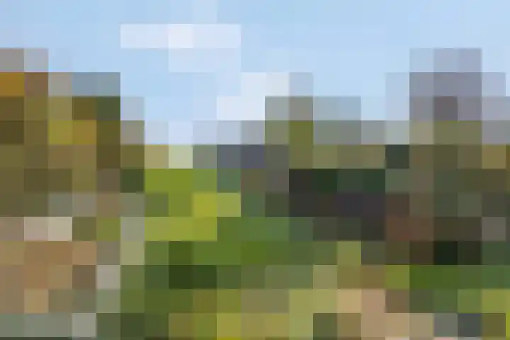 Prinses Julianaweg 13 Geldermalsen thumbnail 54