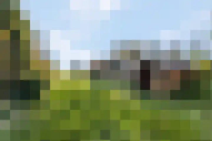 Prinses Julianaweg 13 Geldermalsen thumbnail 55