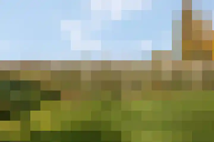 Prinses Julianaweg 13 Geldermalsen thumbnail 56