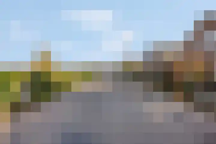 Prinses Julianaweg 13 Geldermalsen thumbnail 6