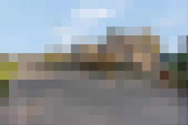 Prinses Julianaweg 13 Geldermalsen thumbnail 7
