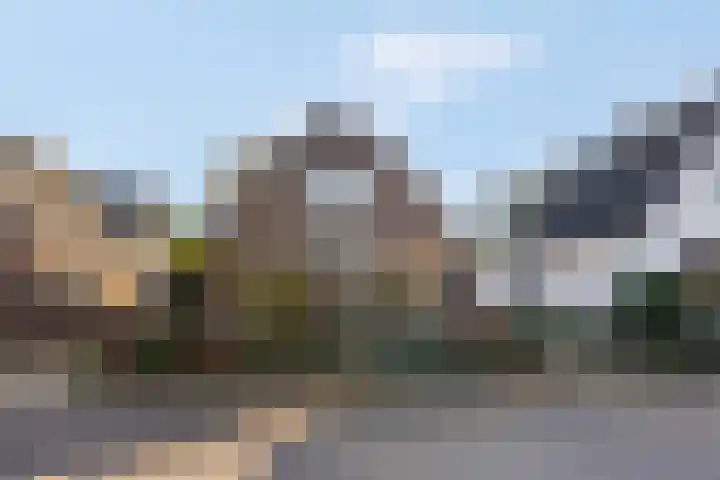 Prinses Julianaweg 13 Geldermalsen thumbnail 8