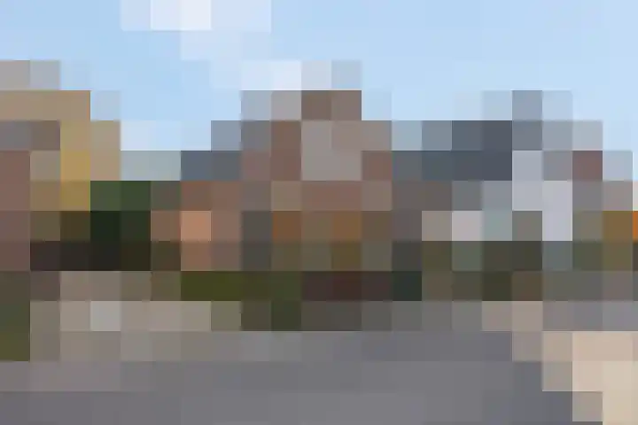 Prinses Julianaweg 13 Geldermalsen thumbnail 9