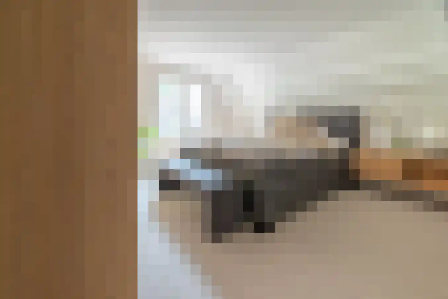 Prinses Julianaweg 2 Nieuwendijk thumbnail 13