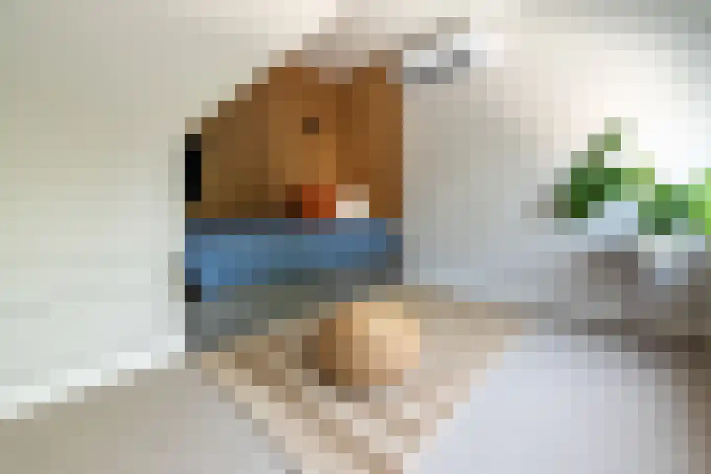 Prinses Julianaweg 2 Nieuwendijk thumbnail 19