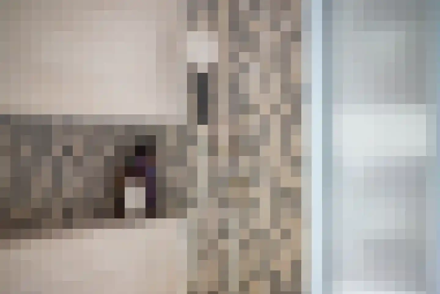 Prinses Julianaweg 2 Nieuwendijk thumbnail 22