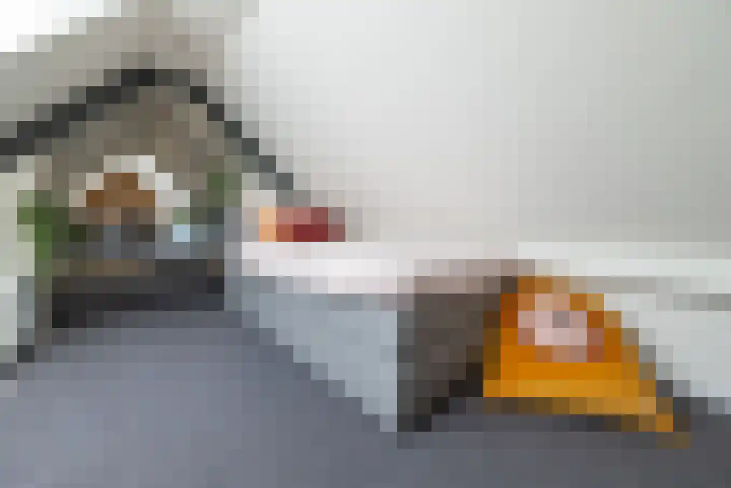Prinses Julianaweg 2 Nieuwendijk thumbnail 24