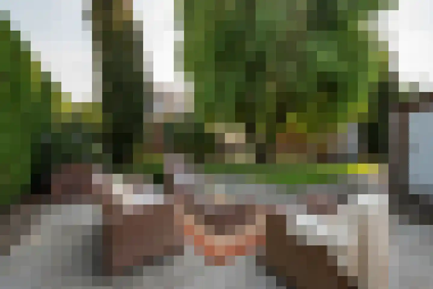 Prinses Julianaweg 2 Nieuwendijk thumbnail 31