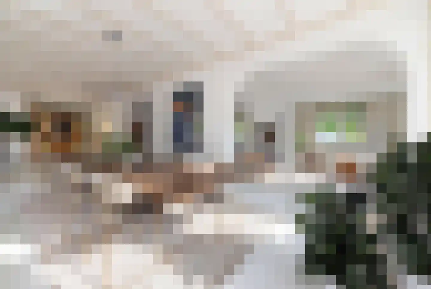 Prinses Julianaweg 2 Nieuwendijk thumbnail 4