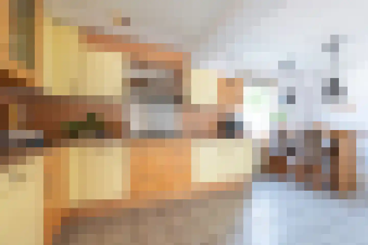 Prinses Julianaweg 2 Nieuwendijk thumbnail 9