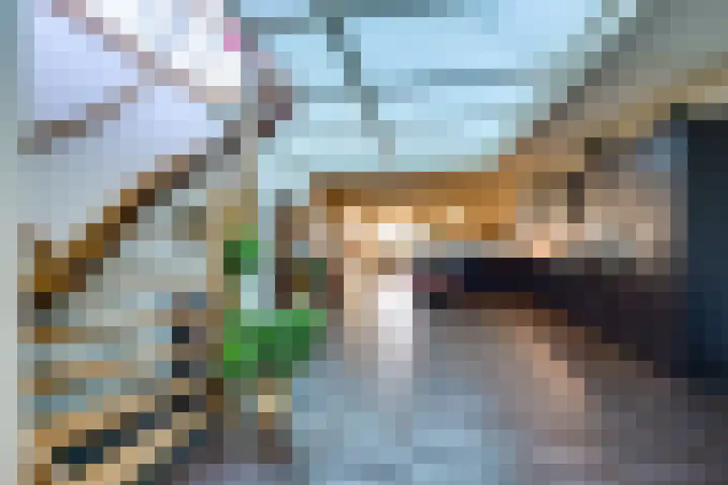 Prinses Julianaweg 5 a Nieuwendijk thumbnail 12