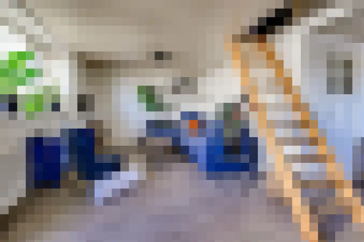 Prinses Julianaweg 5 a Nieuwendijk thumbnail 22
