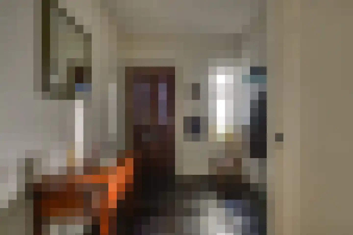 Prinses Julianaweg 5 a Nieuwendijk thumbnail 6