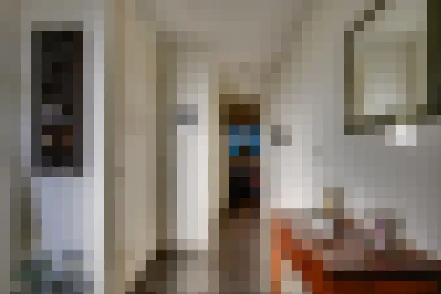 Prinses Julianaweg 5 a Nieuwendijk thumbnail 7