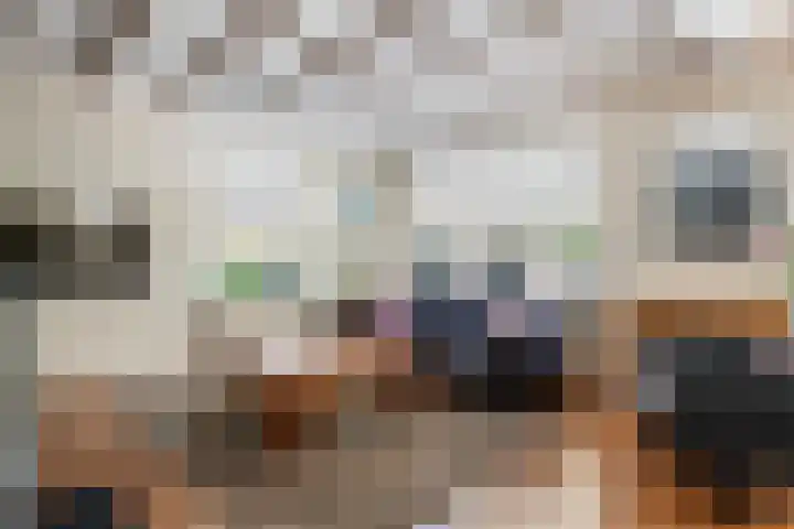 Prinses Julianaweg 6 Geldermalsen thumbnail 12