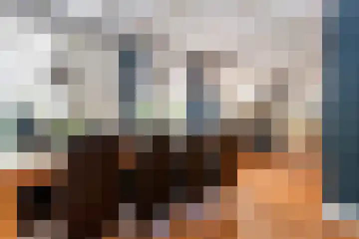 Prinses Julianaweg 6 Geldermalsen thumbnail 16