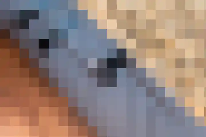 Prinses Julianaweg 6 Geldermalsen thumbnail 19