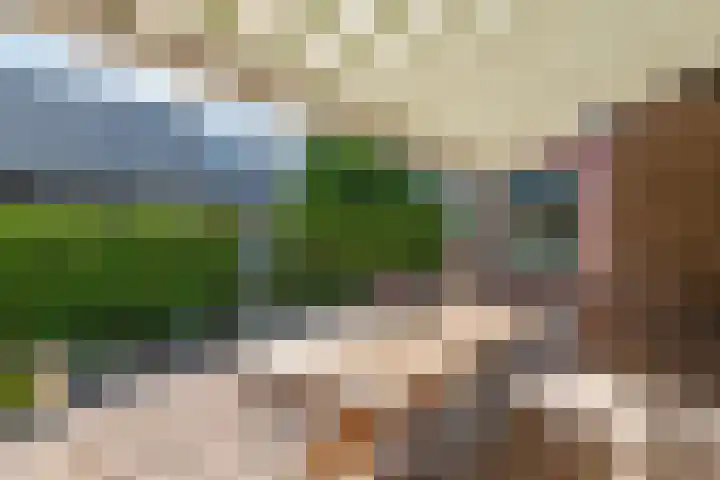 Prinses Julianaweg 6 Geldermalsen thumbnail 31