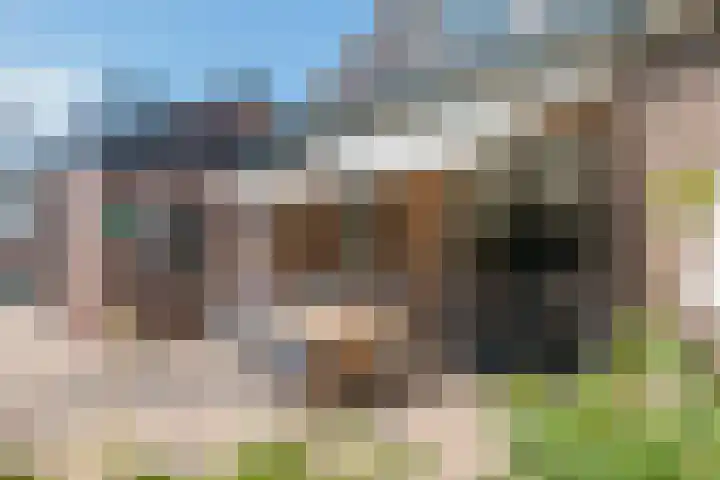 Prinses Julianaweg 6 Geldermalsen thumbnail 32