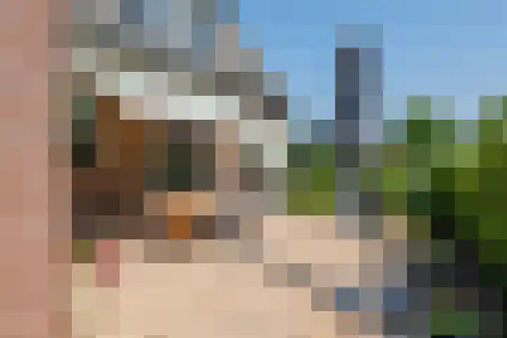 Prinses Julianaweg 6 Geldermalsen thumbnail 33