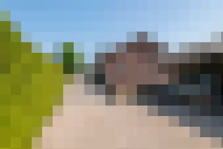 Prinses Julianaweg 6 Geldermalsen thumbnail 36