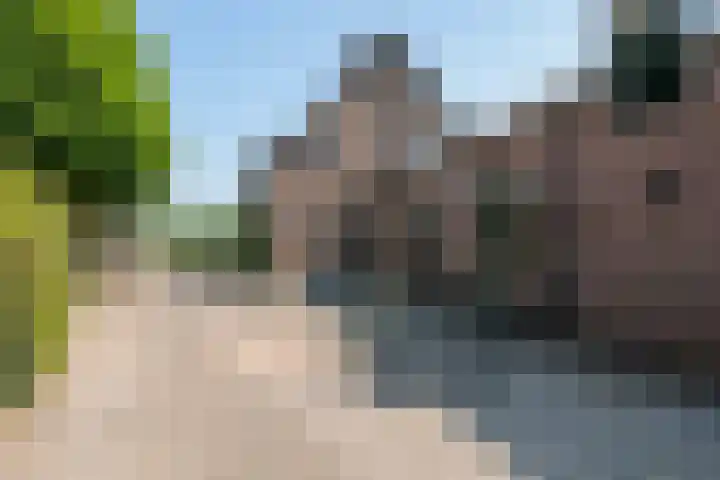 Prinses Julianaweg 6 Geldermalsen thumbnail 37