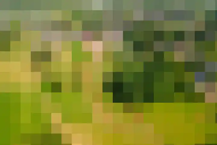 Prinses Julianaweg 6 Geldermalsen thumbnail 4