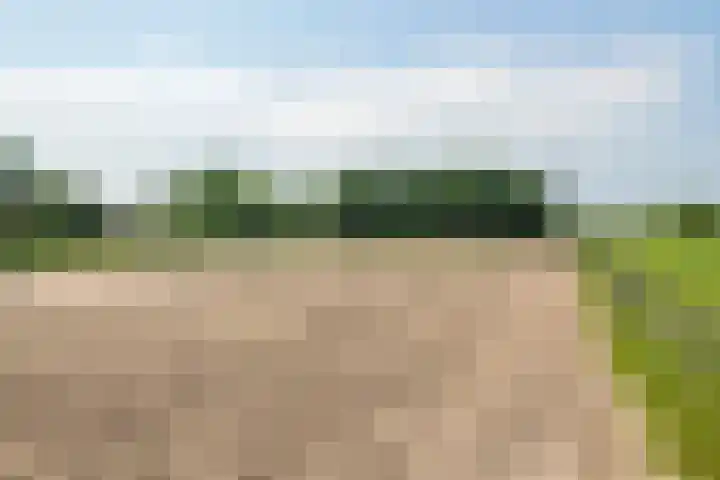 Prinses Julianaweg 6 Geldermalsen thumbnail 40