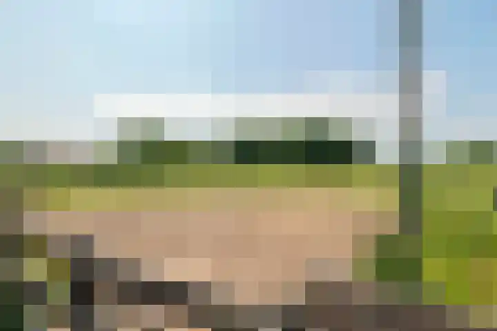 Prinses Julianaweg 6 Geldermalsen thumbnail 41