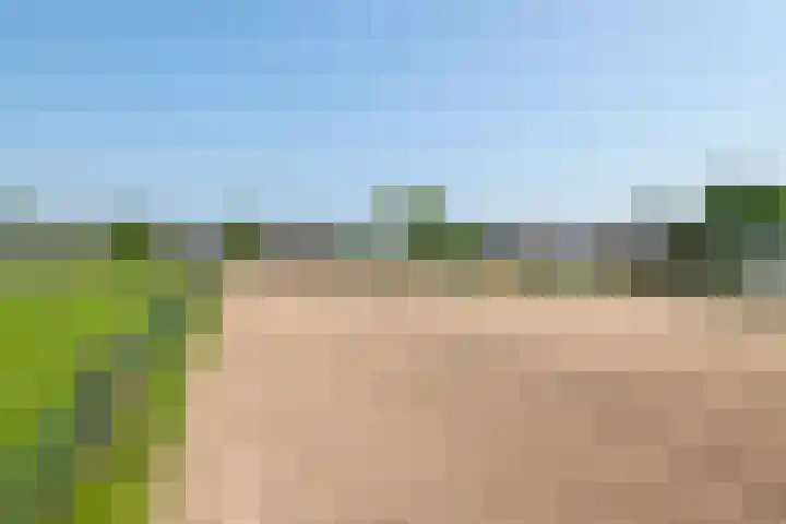 Prinses Julianaweg 6 Geldermalsen thumbnail 42
