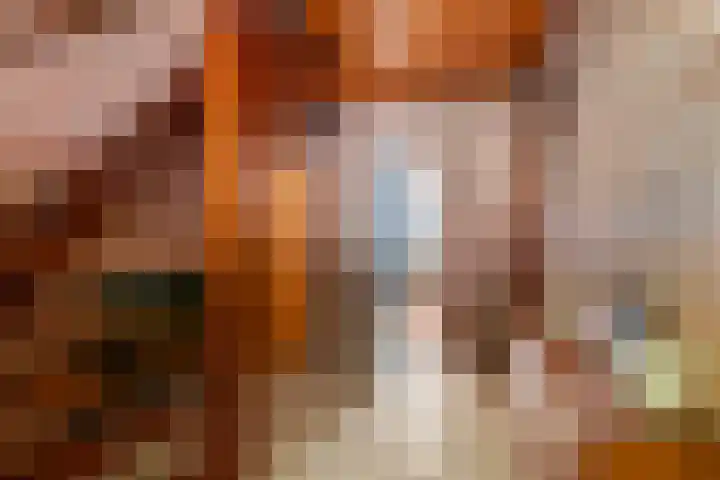 Prinses Julianaweg 6 Geldermalsen thumbnail 43