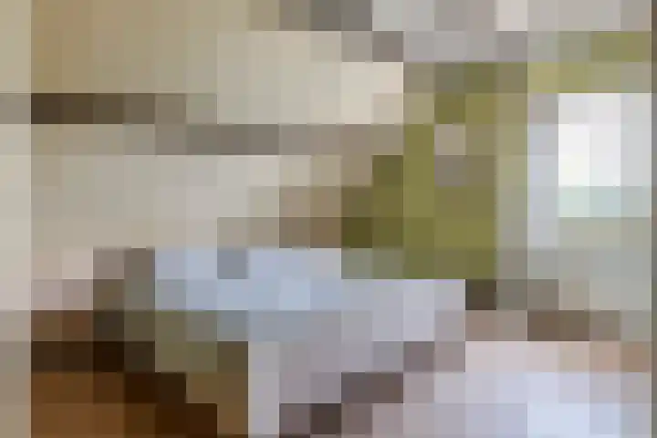 Prinses Julianaweg 6 Geldermalsen thumbnail 45