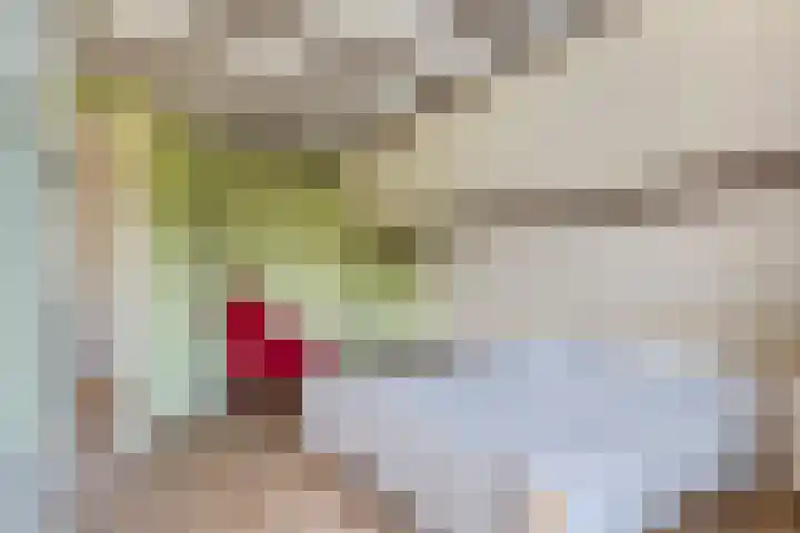 Prinses Julianaweg 6 Geldermalsen thumbnail 47