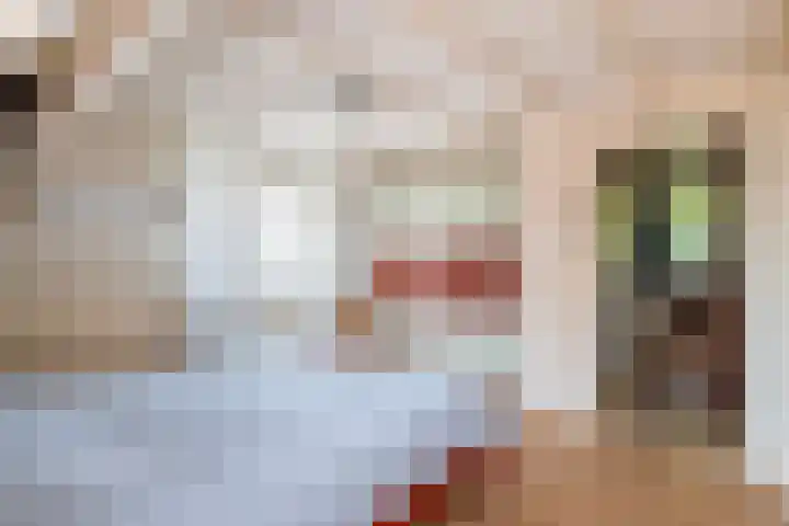 Prinses Julianaweg 6 Geldermalsen thumbnail 51