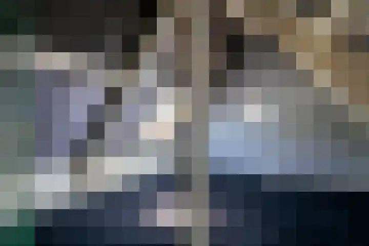 Prinses Julianaweg 6 Geldermalsen thumbnail 56