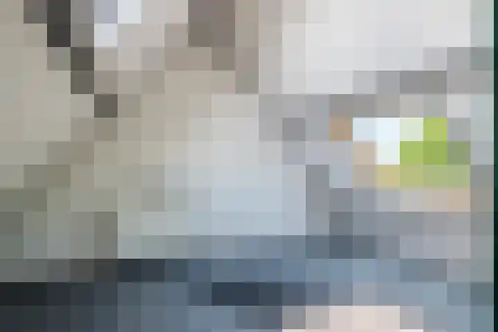 Prinses Julianaweg 6 Geldermalsen thumbnail 58