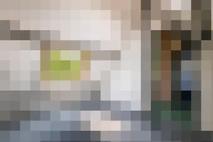 Prinses Julianaweg 6 Geldermalsen thumbnail 59
