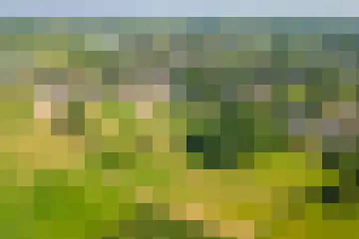 Prinses Julianaweg 6 Geldermalsen thumbnail 64