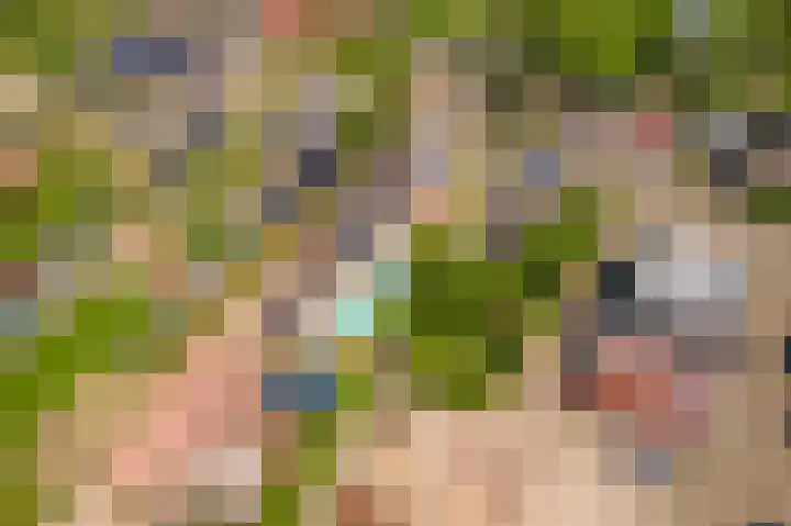 Prinses Julianaweg 6 Geldermalsen thumbnail 66
