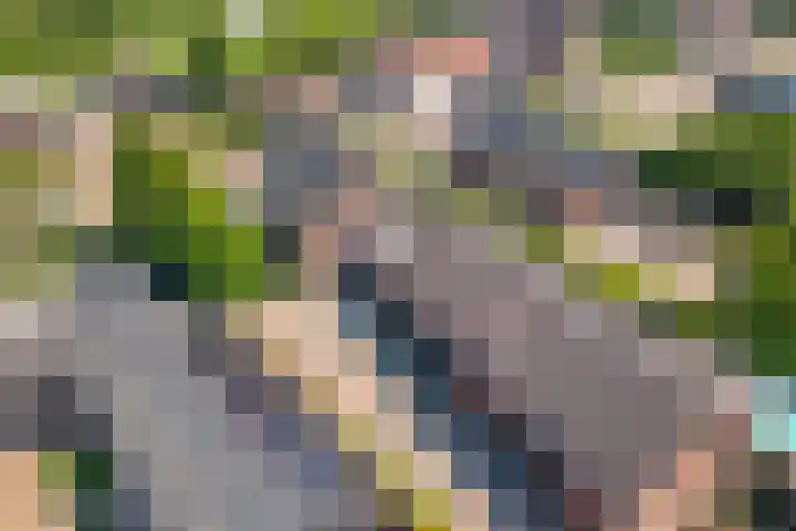 Prinses Julianaweg 6 Geldermalsen thumbnail 68